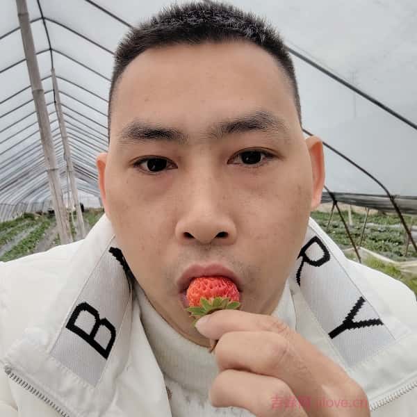 永丰征婚相亲网